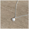 delicate seashell hanging on a delicate belcher chain