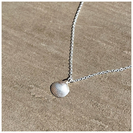 delicate seashell hanging on a delicate belcher chain