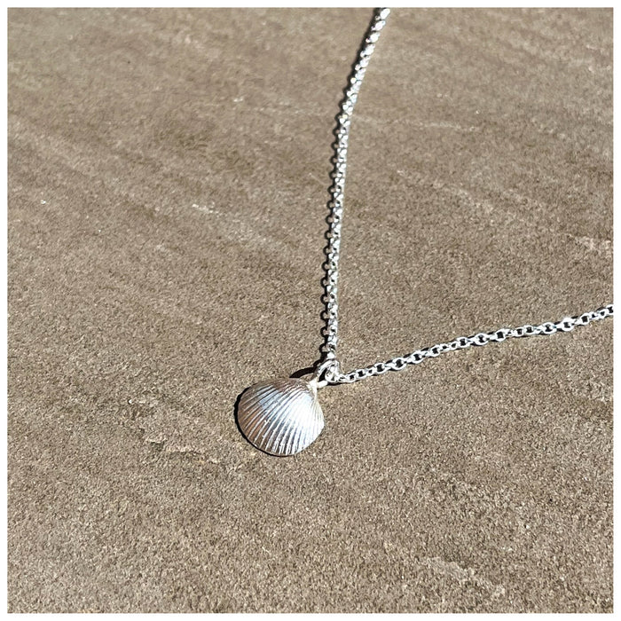 delicate seashell hanging on a delicate belcher chain